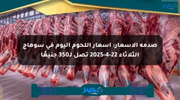 صدمة الأسعار: أسعار اللحوم اليوم في سوهاج الثلاثاء 22-4-2025 تصل لـ350 جنيهًا